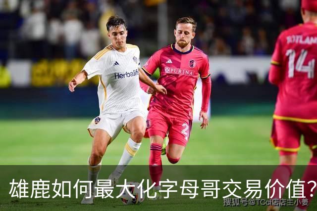 雄鹿如何最大化字母哥交易价值？等竞争对手 或许热火会提高报价